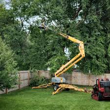 Best Tree Risk Assessment  in Ord, NE