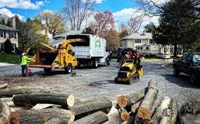 Best Tree Preservation Services  in Ord, NE